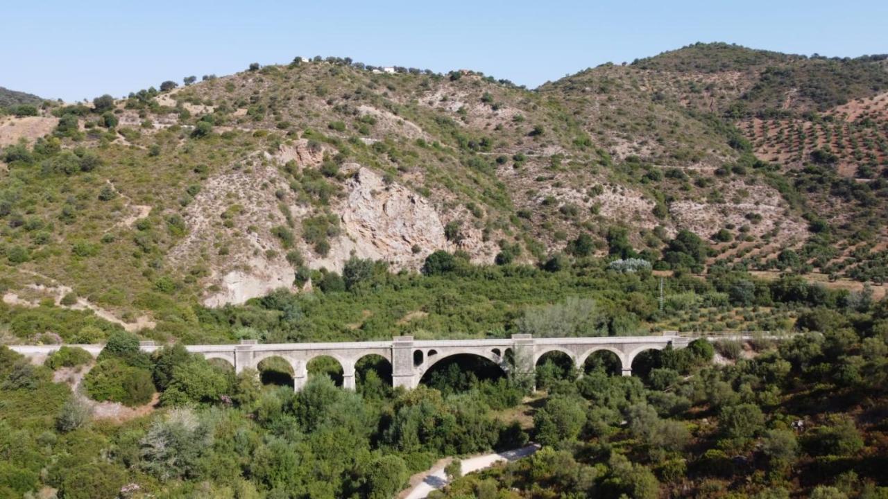 Estacion De